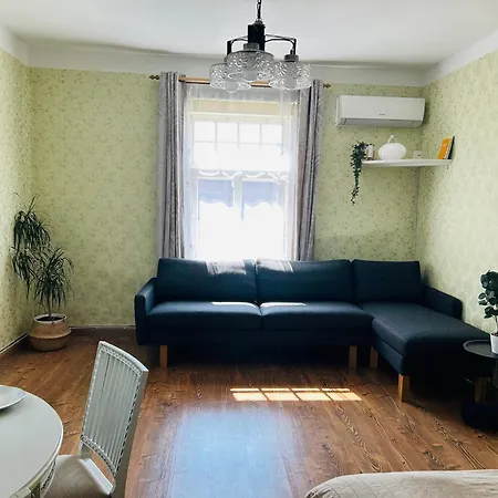 Katariina Allee Korter *